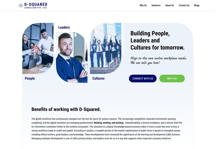D-Squared Consilium homepage design